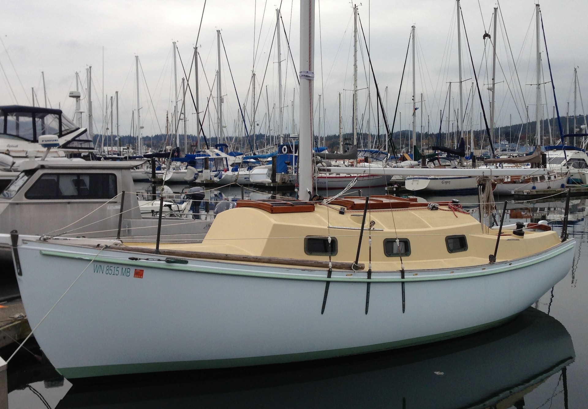 Allegra 24
