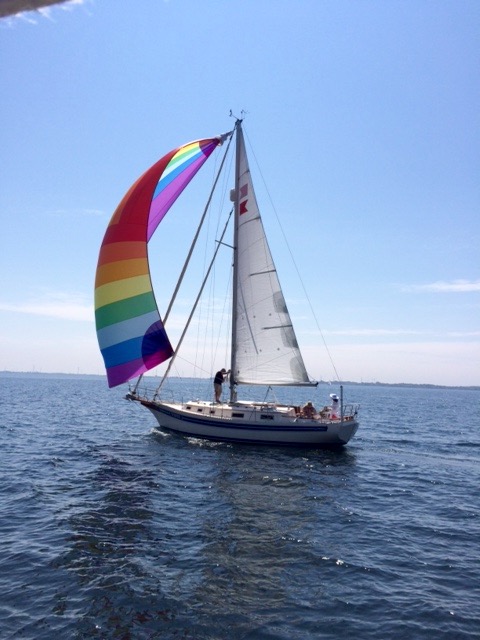 Bayfield 36