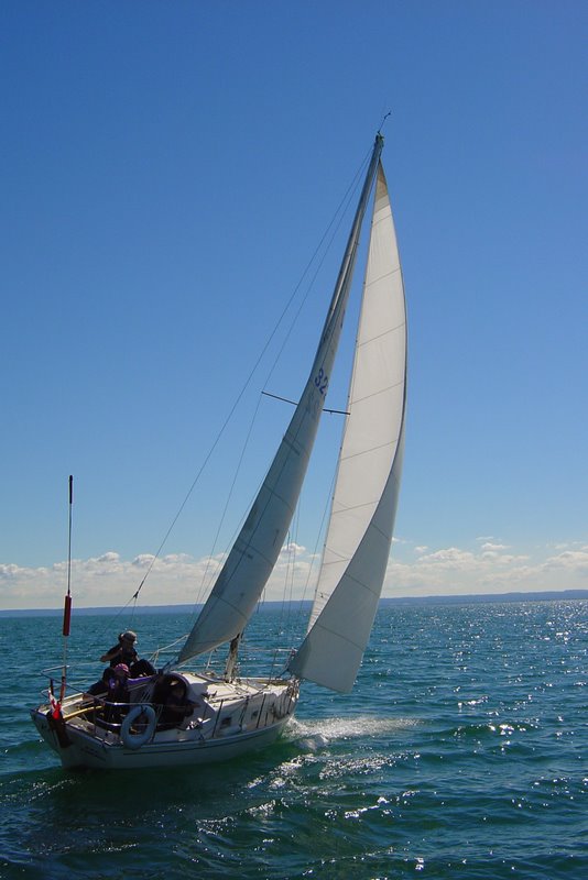 Contessa 26