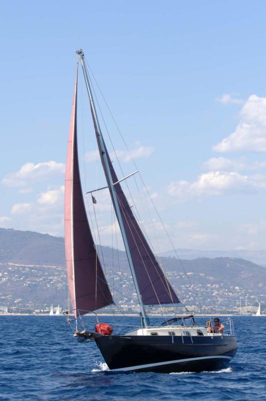 Dana 24 gallery image with filename: dana24-dolittle-windward.jpg
