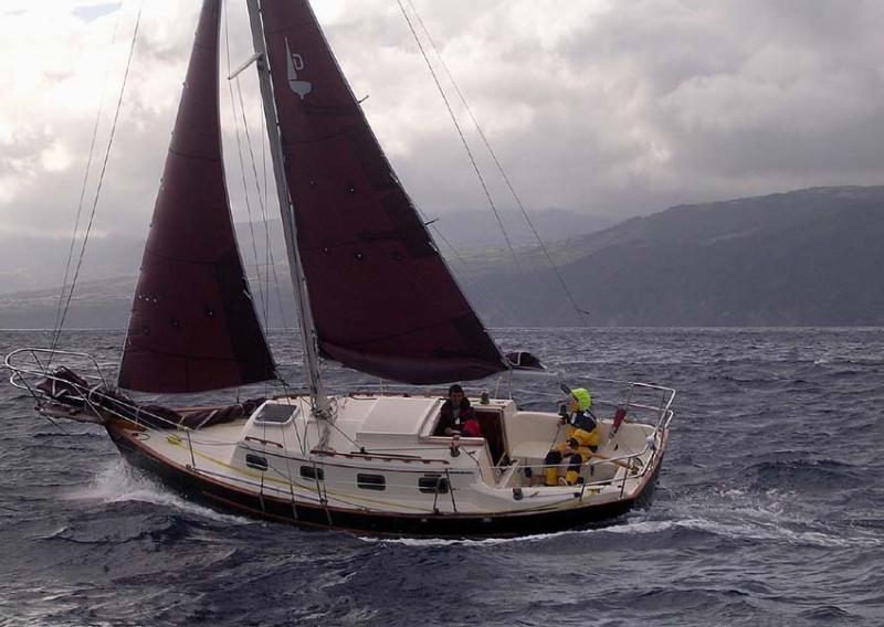 Dana 24 gallery image with filename: dana24-dolittle-windyazores.jpg