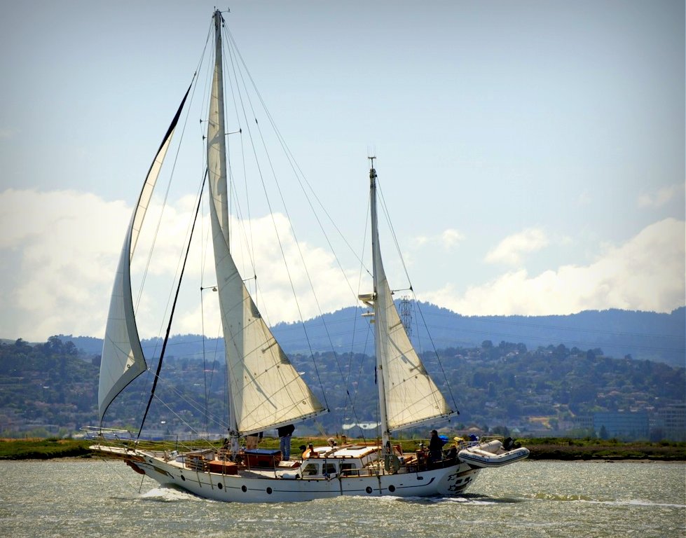 Hudson Force 50