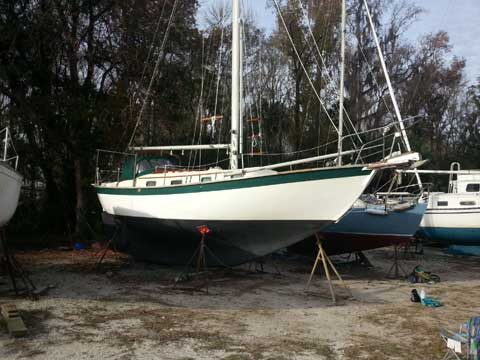 Southern Cross 31
