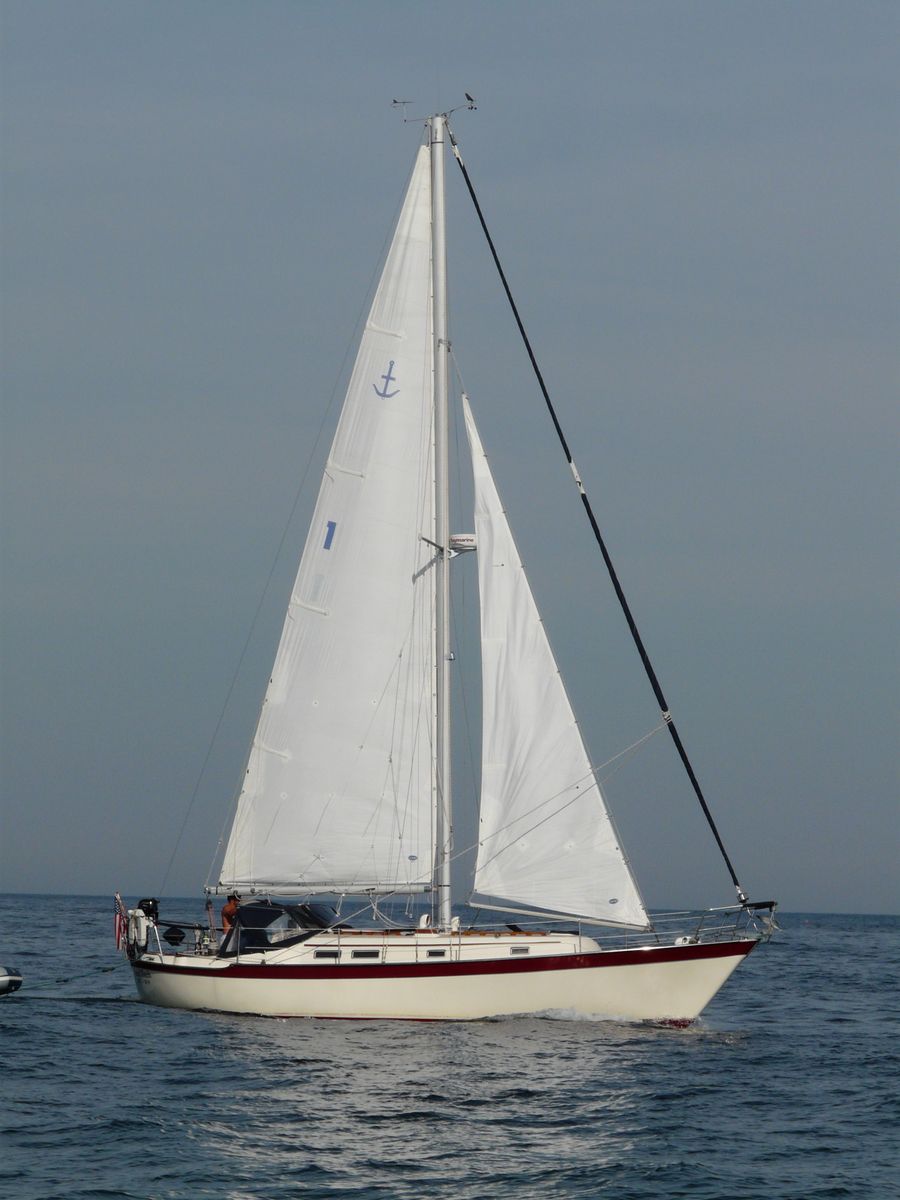 Southern Cross 35