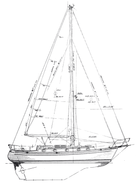 Tashiba 36